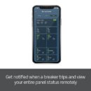 Leviton LWHEM-2 Smart Whole Home Energy Monitor