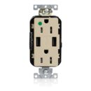 Leviton M56AA-HGI Power Plug, 15A LEV-LOK USB TR HG Outlet TYPE A-A