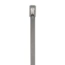 Panduit MLT4S-CP MLT 304 Stainless Steel Standard Cable Tie, 20.5" (521mm)