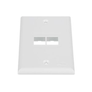 Panduit NK2FNWH Wall Plate