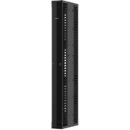 Panduit PE2VD12 PE2V CABLE MANAGER 12 WIDE