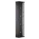 Panduit PR2VSD0679 PatchRunner2 Vertical Dual-Sided Cable Manager, 1-Door, 42RU, 6" Wide, Black
