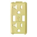 Leviton RKAA2-CS Renu USB Charger 20A Receptacle Faceplate, Corn Silk