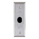 Alarm Controls RP-24 Narrow Remote Key Switch Plate with "D" Hole for Ace Lock, N/O Tamper Switch, Stainless Steel