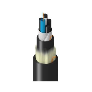 Belden TF1LF002R25N Fiber Optic Cable