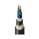 Belden TF1LG036R25N Fiber Optic Cable