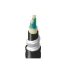 Belden TF3BB002RI5N Fiber Optic Cable