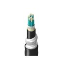 Belden TF3BB006RI5N Fiber Optic Cable
