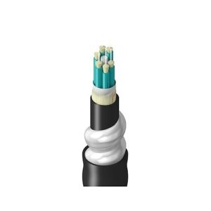 Belden TF3BB006RI5N Fiber Optic Cable