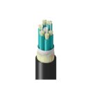 Belden TF3BB006RN5N Fiber Optic Cable