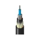 Belden TF3C0012RX5N Fiber Optic Cable