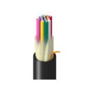 Belden TF3D9012RN5N Total Fiber Distribution Network Optical Multi-Mode 12 Fiber Polyvinyl Chloride Optical Fiber Cable Rated OFNR