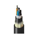 Belden TF4LG024R25N Fiber Optic Cable
