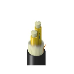 Belden TFSBB002RN5N Fiber Optic Cable