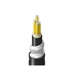 Belden TFSBB004RI5N Fiber Optic Cable