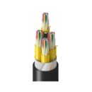 Belden TFSDK048RN5N Fiber Optic Cable