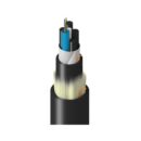 Belden TFSLF004R25N Fiber Optic Cable