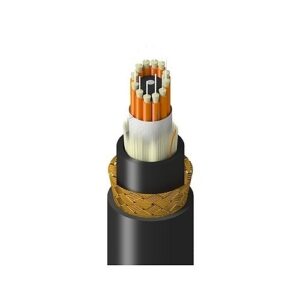 Belden TM1BB012LBAN Fiber Optic Cable