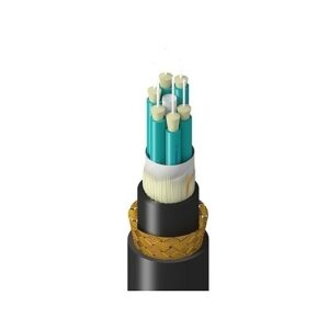 Belden TM3BB006LBAN Fiber Optic Cable