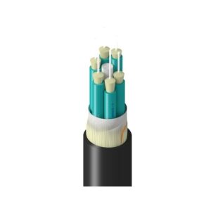 Belden TM3BB006LNAN Fiber Optic Cable