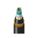 Belden TM3BB012LBAN Fiber Optic Cable, 12 Fibers, Multimode OM3, Low-Smoke Zero-Halogen, Riser Rated
