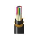 Belden TM3D9012LBAN Fiber Optic Patch Cord, TM DN OM3 12F LSZH OFCR-ST1