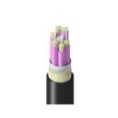 Belden TM4BB006LNAN Fiber Optic Cable