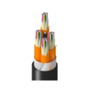 Belden TT1DK048LNNN Fiber Optic Patch Cord, TT DN OM1 48F LSZH OFNR-ST1