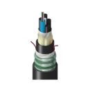Belden TT1LG012HTNN Fiber Optic Cable