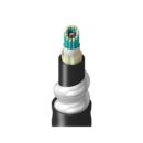 Belden TT3BB012LINN Fiber Optic Cable