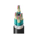 Belden TT3DK048LNNN Fiber Optic Cable