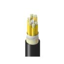 Belden TTSBB006LNNN Fiber Optic Cable