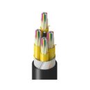 Belden TTSDK048LNNN Fiber Optic Cable