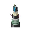 Belden TTSLC006LTNN Fiber Optic Cable