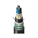 Belden TTSLD012LTNN Fiber Optic Cable