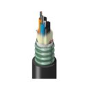 Belden TTSLD024LSNN Fiber Optic Cable
