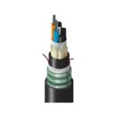 Belden TTSLD024LTNN Fiber Optic Cable