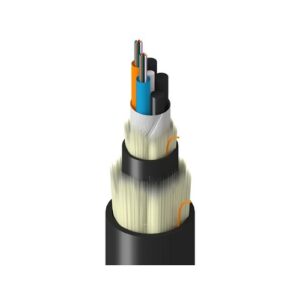 Belden TTSLD024LXNN Fiber Optic Cable