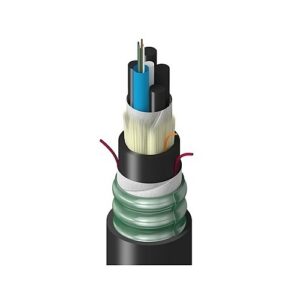 Belden TTSLF006HTNN Fiber Optic Cable