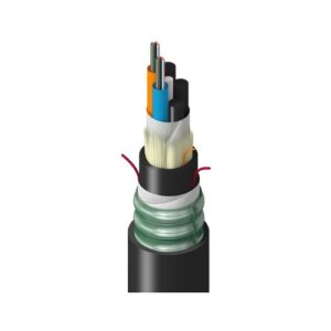 Belden TTSLG024HTNN Fiber Optic Cable