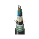 Belden TTSLG036HTNN Fiber Optic Cable