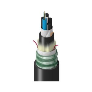 Belden TU1LF006RT2N Fiber Optic Cable