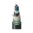 Belden TU1LG012RT2N Fiber Optic Cable