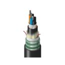 Belden TU1LG024RT2N Fiber Optic Cable