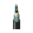Belden TU1LG048RS2N Fiber Optic Cable