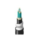 Belden TU3BB004RI2N Total Utility Breakout Optical Multi-Mode 4 Fiber Customer Premises Equipment Optical Fiber Cable Rated OFCR