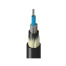 Belden TU3C0012RX2N Fiber Optic Cable