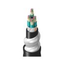 Belden TU3DK048RI2N Fiber Optic Patch Cord, TU DN OM3 48F Cellular Polyethylene OFCR