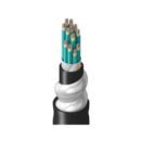 Belden TU3DK144RI2N Fiber Optic Patch Cord, TU DN OM3 144F Cellular Polyethylene OFCR