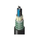 Belden TU3LG012RS2N Fiber Optic Cable